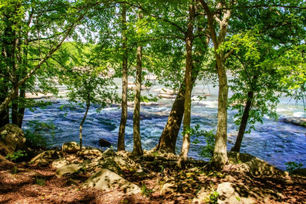 Spring On The River I art print by Alan Hausenflock for $57.95 CAD