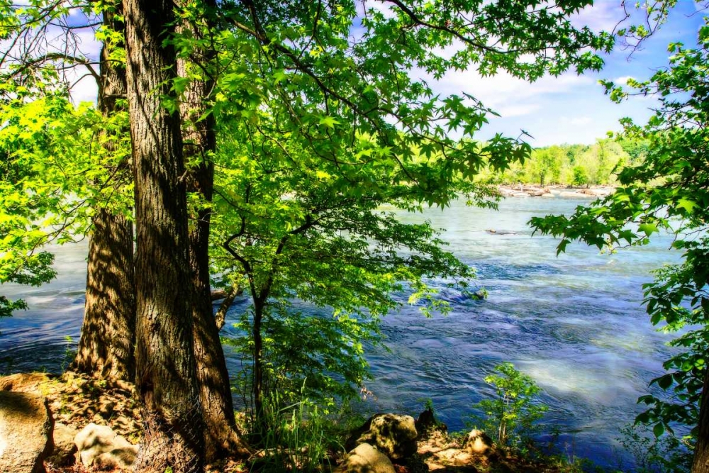 Spring On The River II art print by Alan Hausenflock for $57.95 CAD
