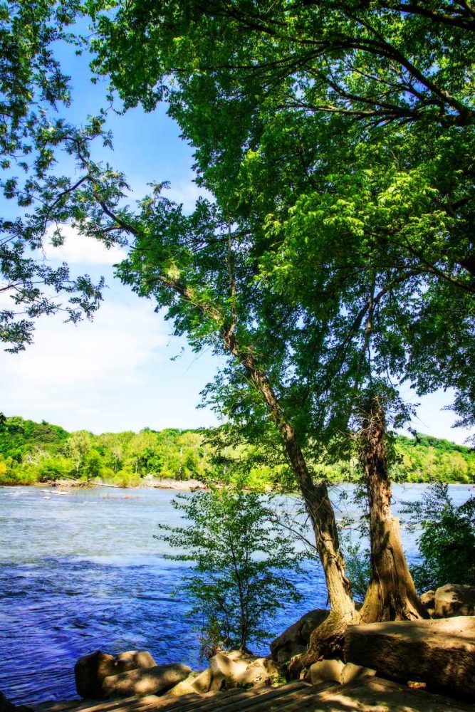 Spring On The River III art print by Alan Hausenflock for $57.95 CAD