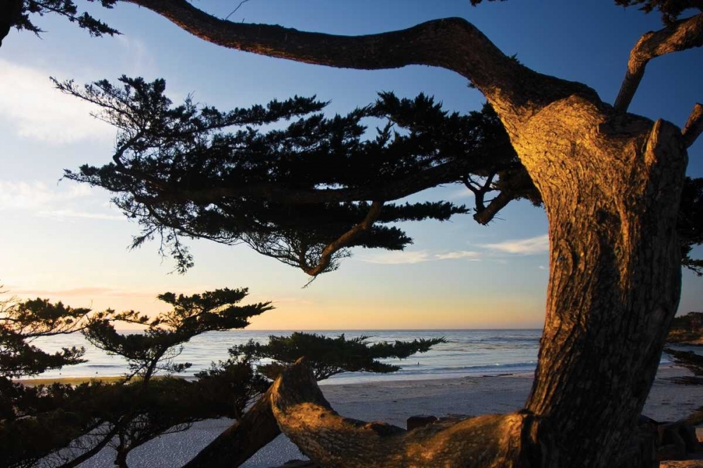 Carmel Sunset II art print by Alan Hausenflock for $57.95 CAD