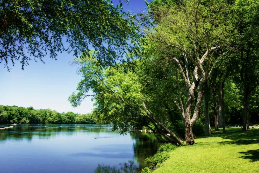 Spring On The River V art print by Alan Hausenflock for $57.95 CAD