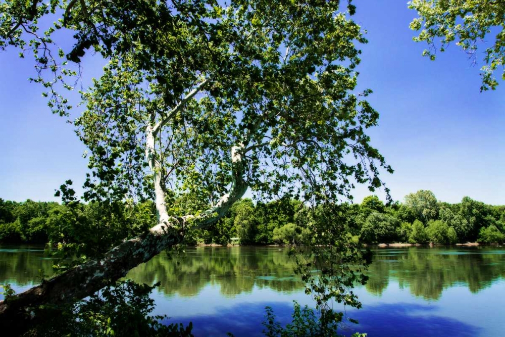 Spring On The River VI art print by Alan Hausenflock for $57.95 CAD