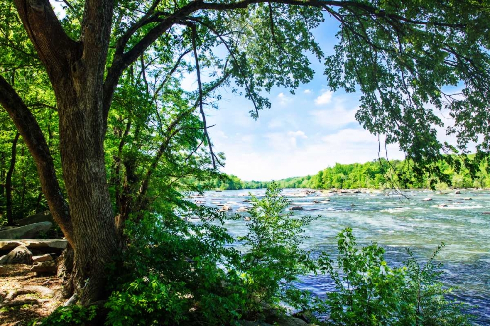 Spring On The River VII art print by Alan Hausenflock for $57.95 CAD
