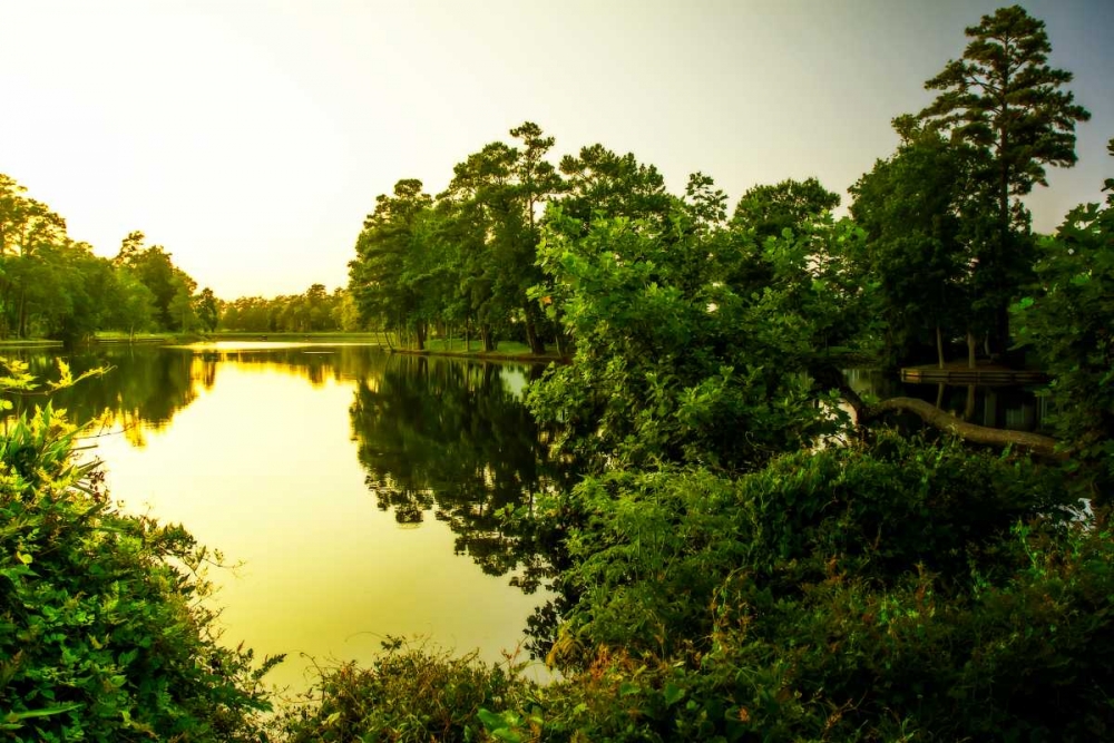 Sunrise On Green Lake I art print by Alan Hausenflock for $57.95 CAD