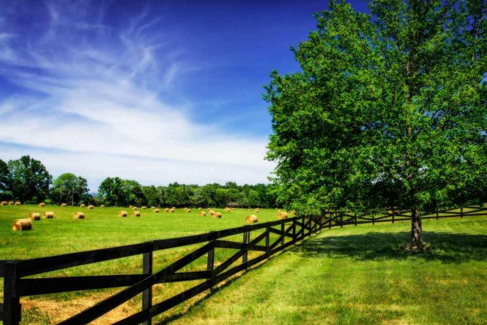Green Springs Farm I art print by Alan Hausenflock for $57.95 CAD