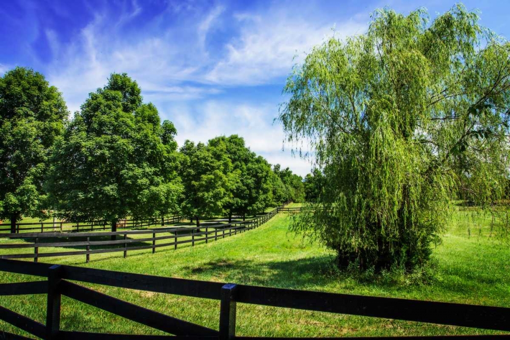Green Springs Farm II art print by Alan Hausenflock for $57.95 CAD