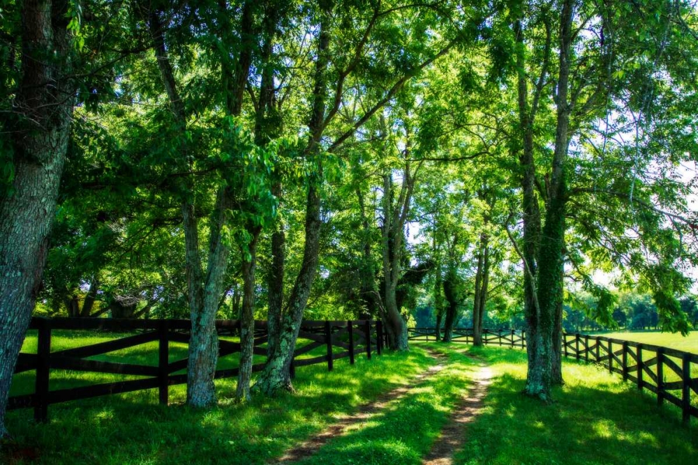 Green Springs Farm III art print by Alan Hausenflock for $57.95 CAD