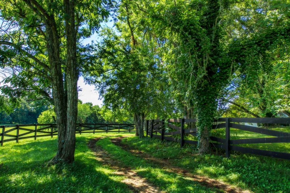 Green Springs Farm IV art print by Alan Hausenflock for $57.95 CAD