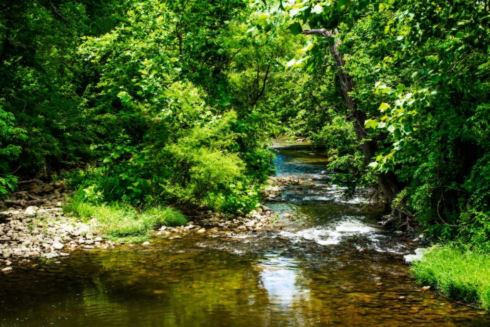 Small Mountain Stream I art print by Alan Hausenflock for $57.95 CAD