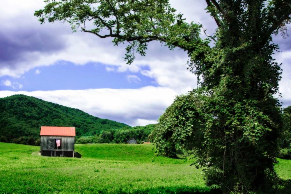 Rappahannock County I art print by Alan Hausenflock for $57.95 CAD