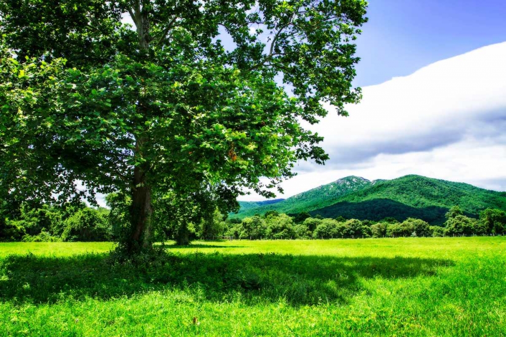 Rappahannock County II art print by Alan Hausenflock for $57.95 CAD