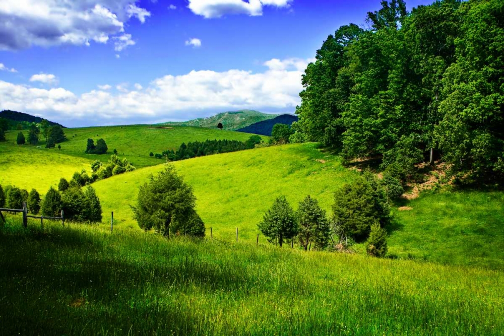Rappahannock County III art print by Alan Hausenflock for $57.95 CAD
