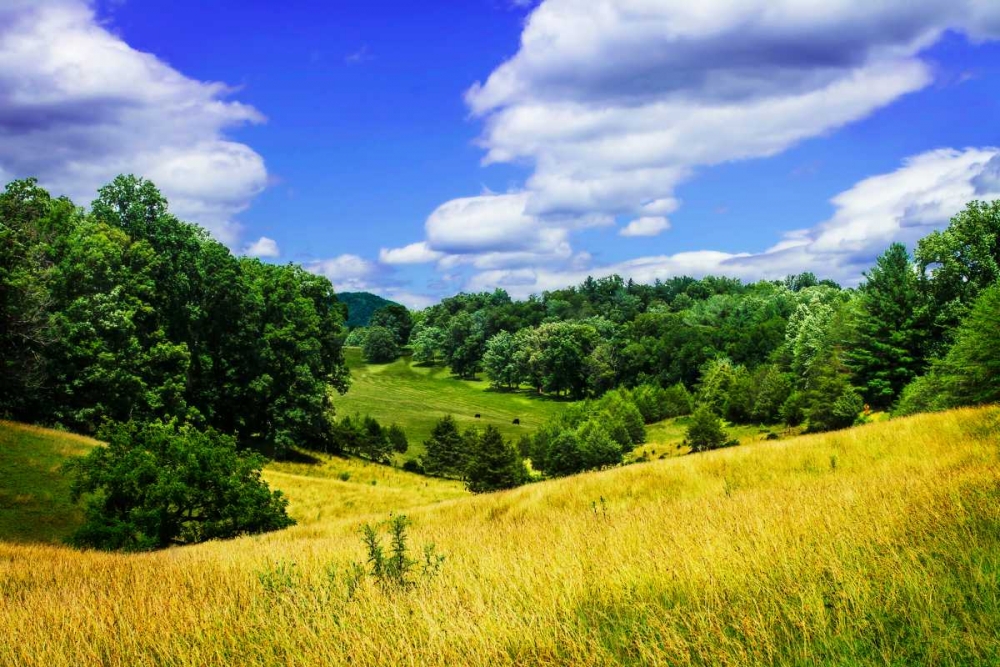 Rappahannock County IV art print by Alan Hausenflock for $57.95 CAD