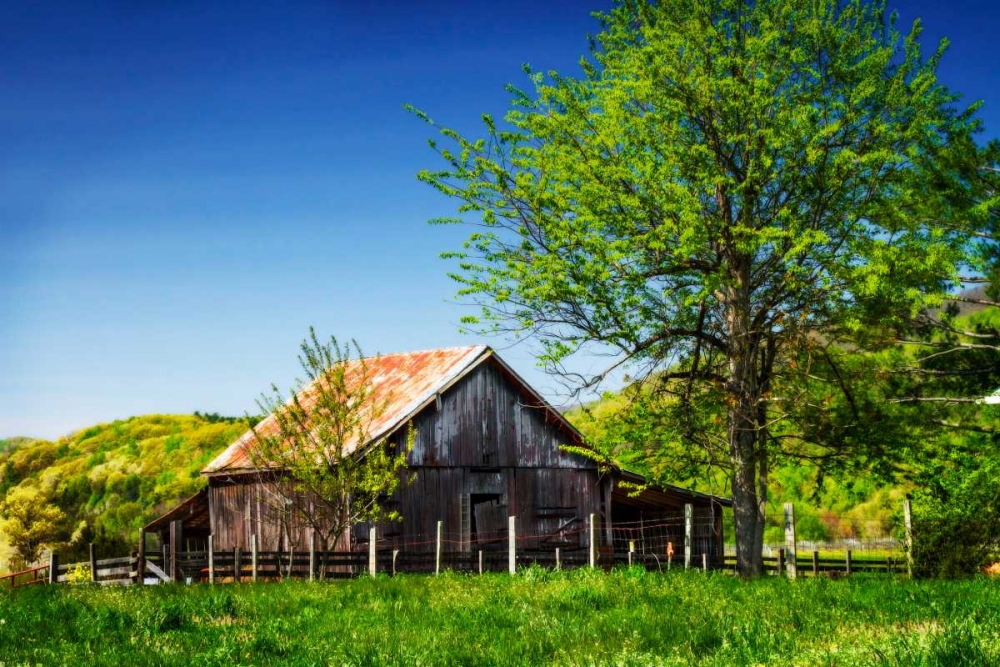 Old Backyard Barn art print by Alan Hausenflock for $57.95 CAD