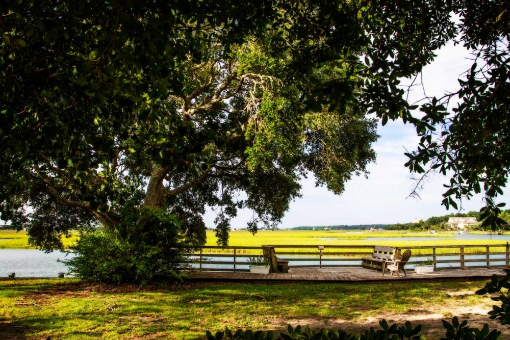 Pawley Island IV art print by Alan Hausenflock for $57.95 CAD