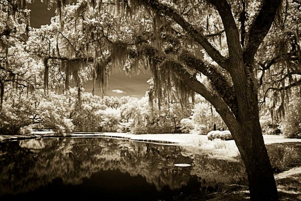 Walkers Pond II art print by Alan Hausenflock for $57.95 CAD