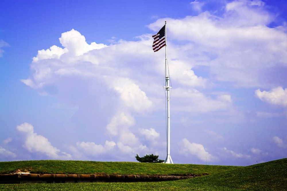 Ol Glory II art print by Alan Hausenflock for $57.95 CAD
