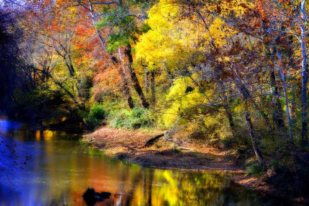 Color Of Fall IV art print by Alan Hausenflock for $57.95 CAD