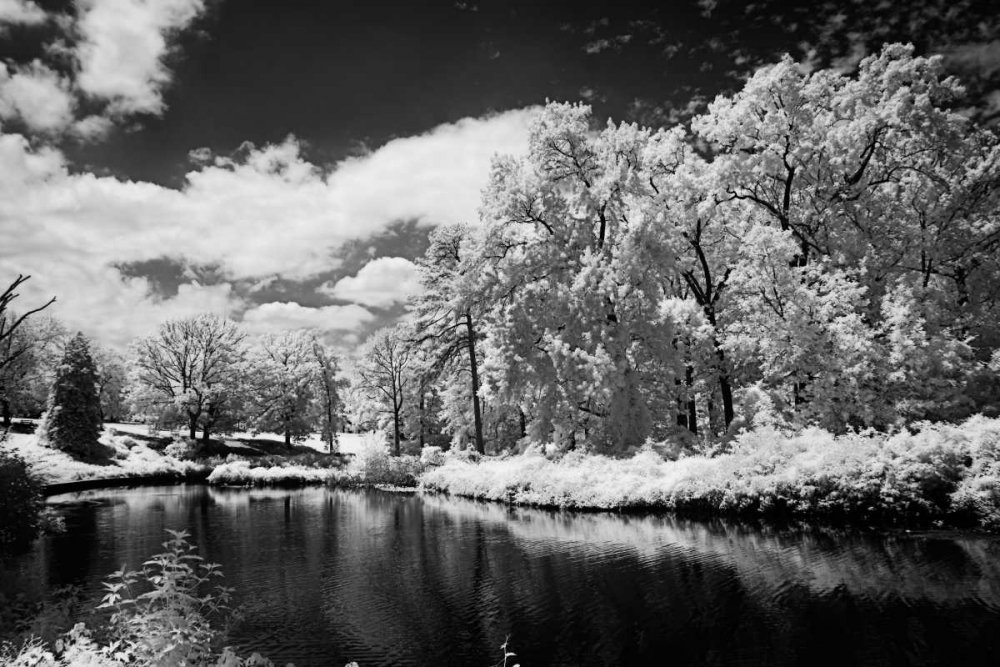 Bryan Lake IV art print by Alan Hausenflock for $57.95 CAD