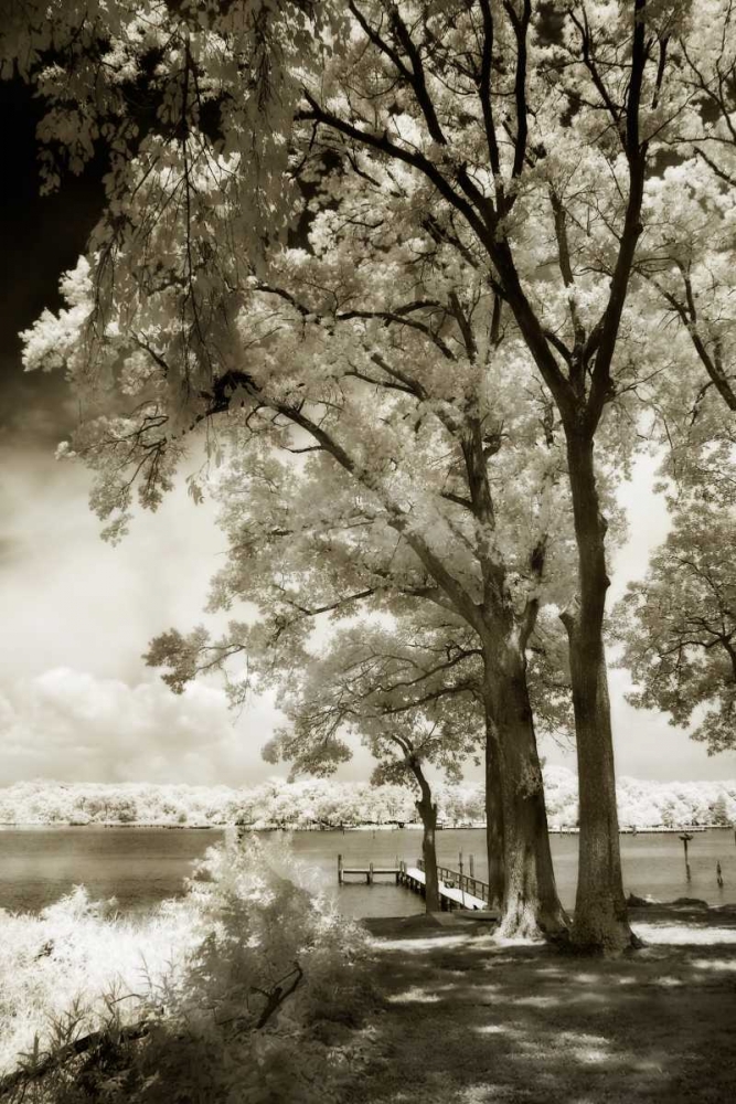 Cobb Island III art print by Alan Hausenflock for $57.95 CAD
