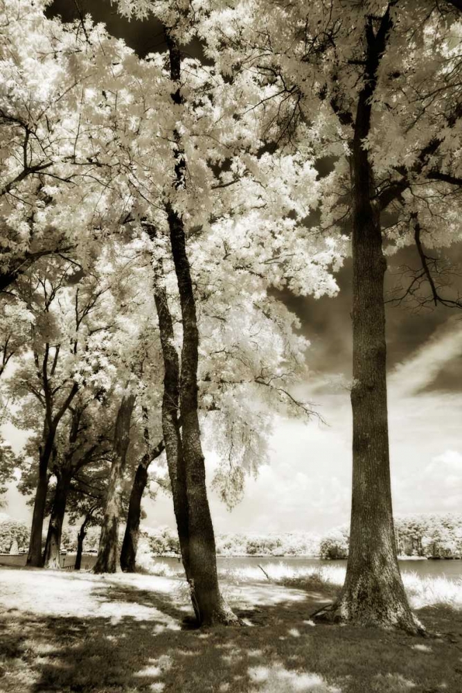 Cobb Island IV art print by Alan Hausenflock for $57.95 CAD