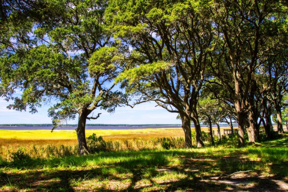 Cape Fear Overlook art print by Alan Hausenflock for $57.95 CAD