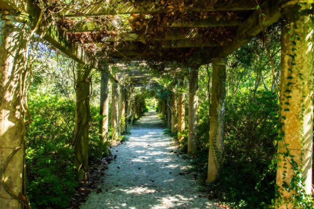 An Arbored Pathway art print by Alan Hausenflock for $57.95 CAD