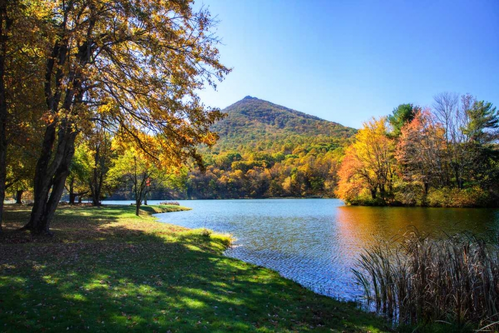 Peaks Of Otter Lake I art print by Alan Hausenflock for $57.95 CAD