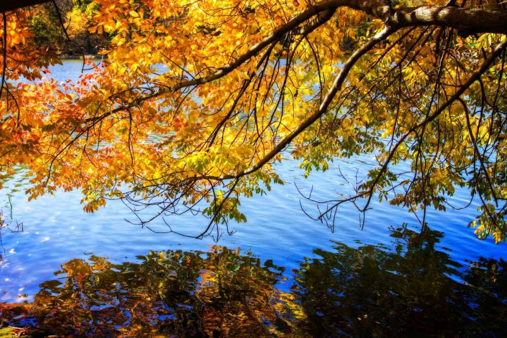 Autumn Reflections I art print by Alan Hausenflock for $57.95 CAD