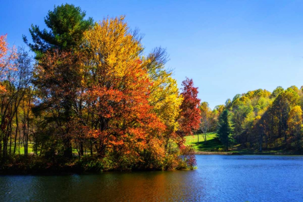 Peaks Of Otter Lake IV art print by Alan Hausenflock for $57.95 CAD
