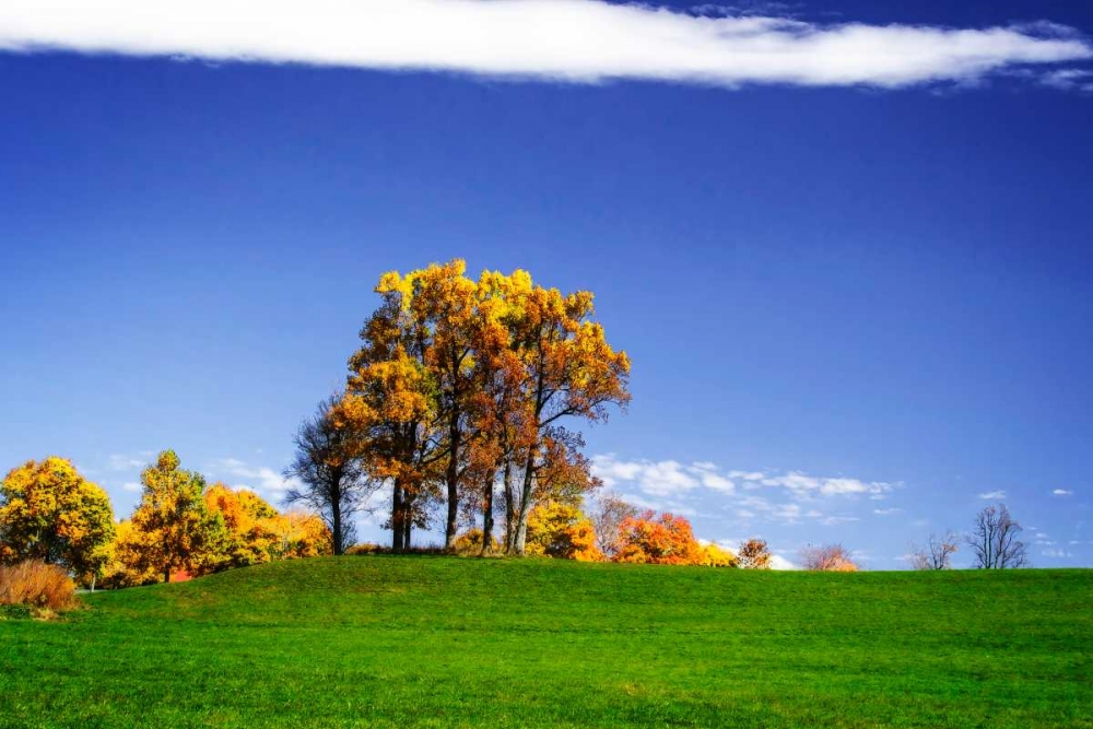 Meadows of Dan II art print by Alan Hausenflock for $57.95 CAD