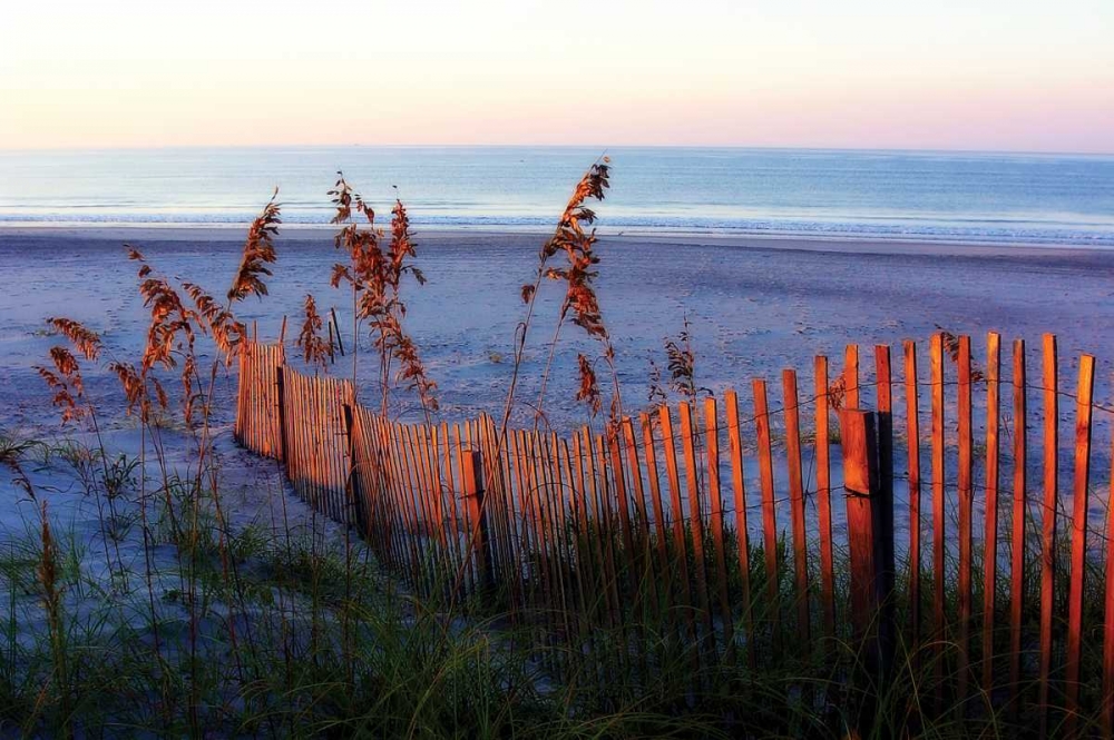 Sunrise in the Dunes art print by Alan Hausenflock for $57.95 CAD