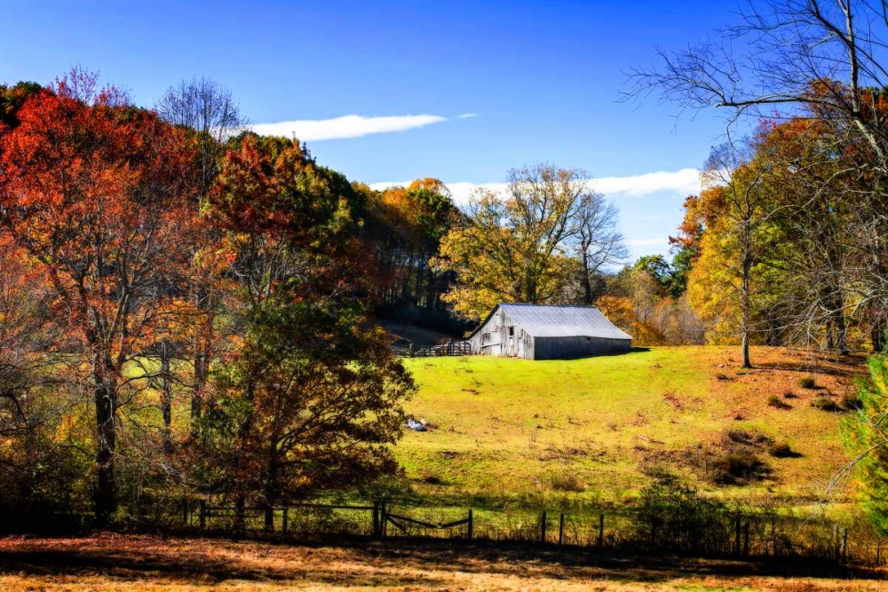 Weathered Barn art print by Alan Hausenflock for $57.95 CAD