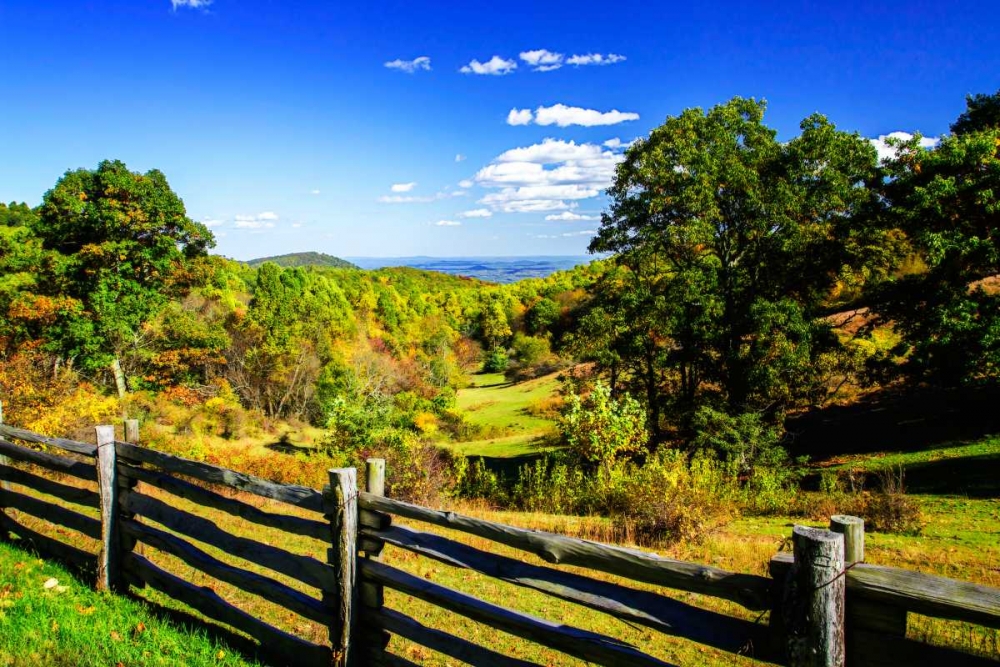 Blue Ridge Backyard art print by Alan Hausenflock for $57.95 CAD