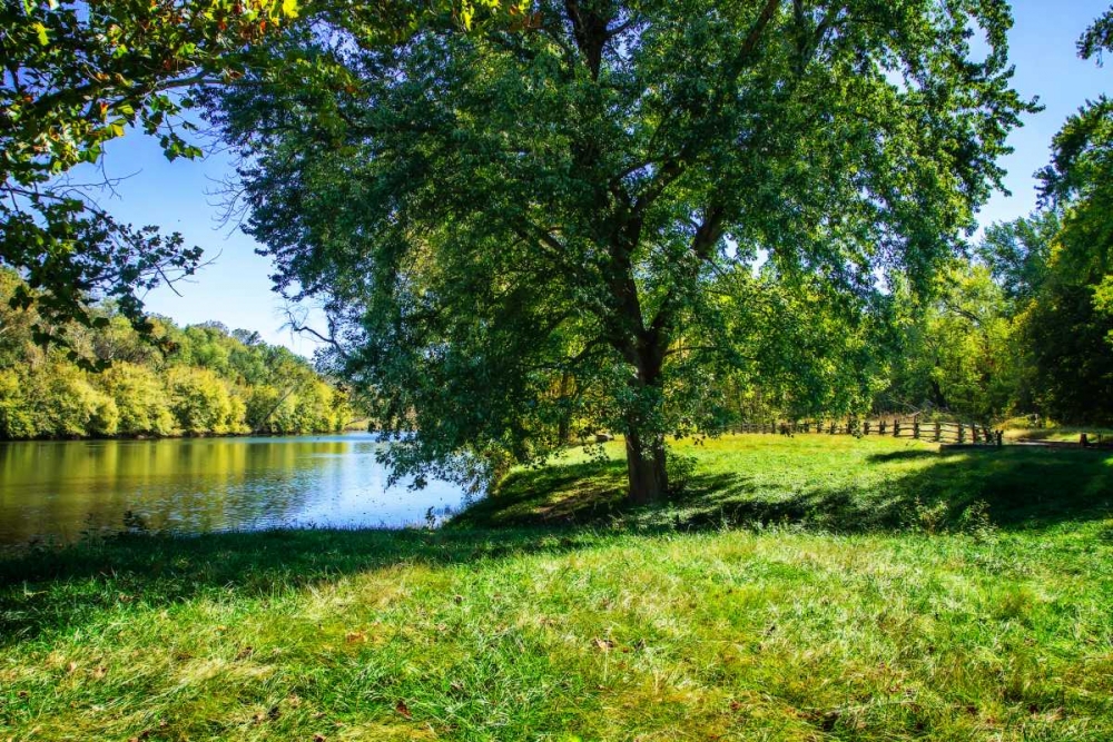 West James River II art print by Alan Hausenflock for $57.95 CAD