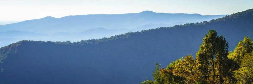 Blue Ridge Morning I art print by Alan Hausenflock for $57.95 CAD