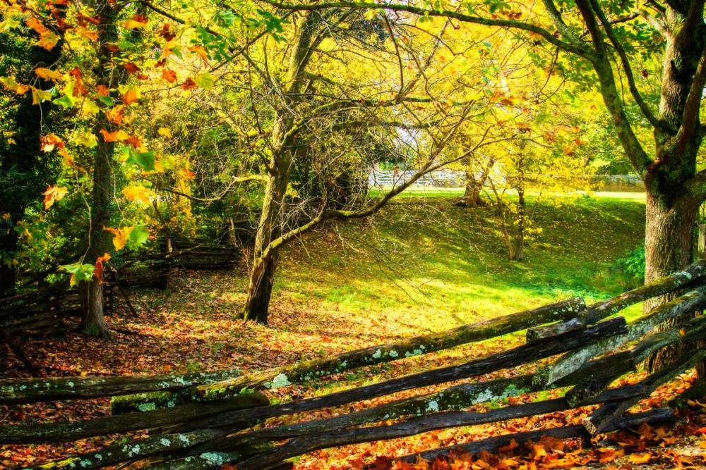 Backyard Color II art print by Alan Hausenflock for $57.95 CAD
