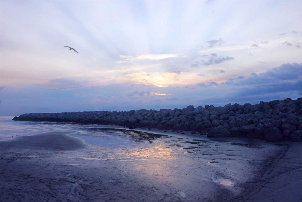 Cedar Island Sunrise art print by Alan Hausenflock for $57.95 CAD