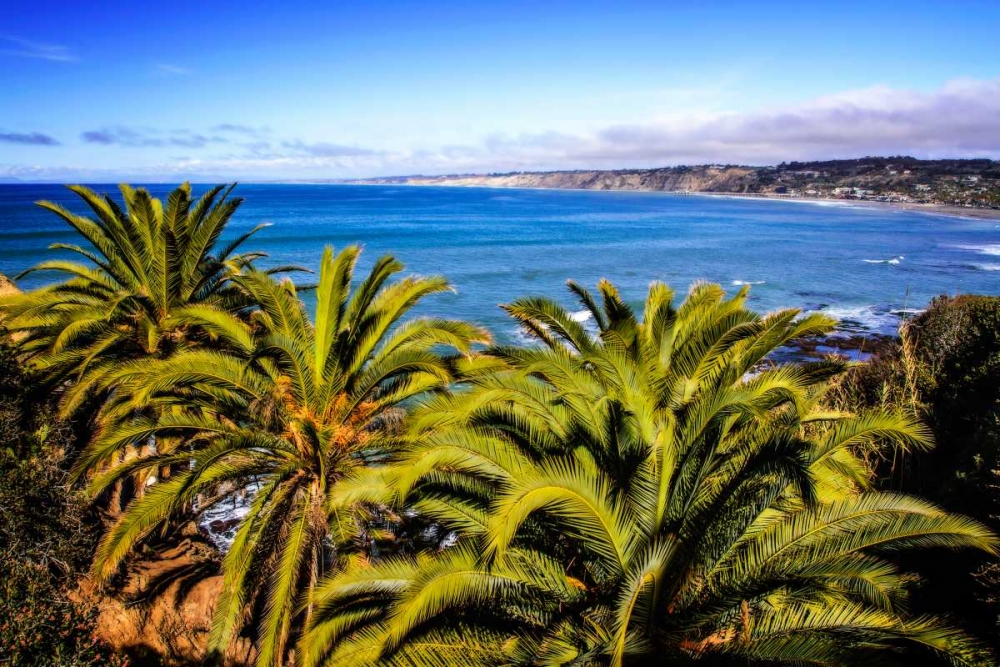 La Jolia North Shore III art print by Alan Hausenflock for $57.95 CAD