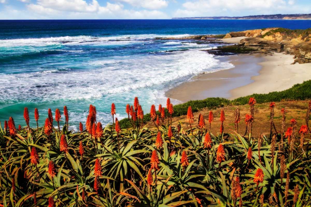 Point La Jolla I art print by Alan Hausenflock for $57.95 CAD