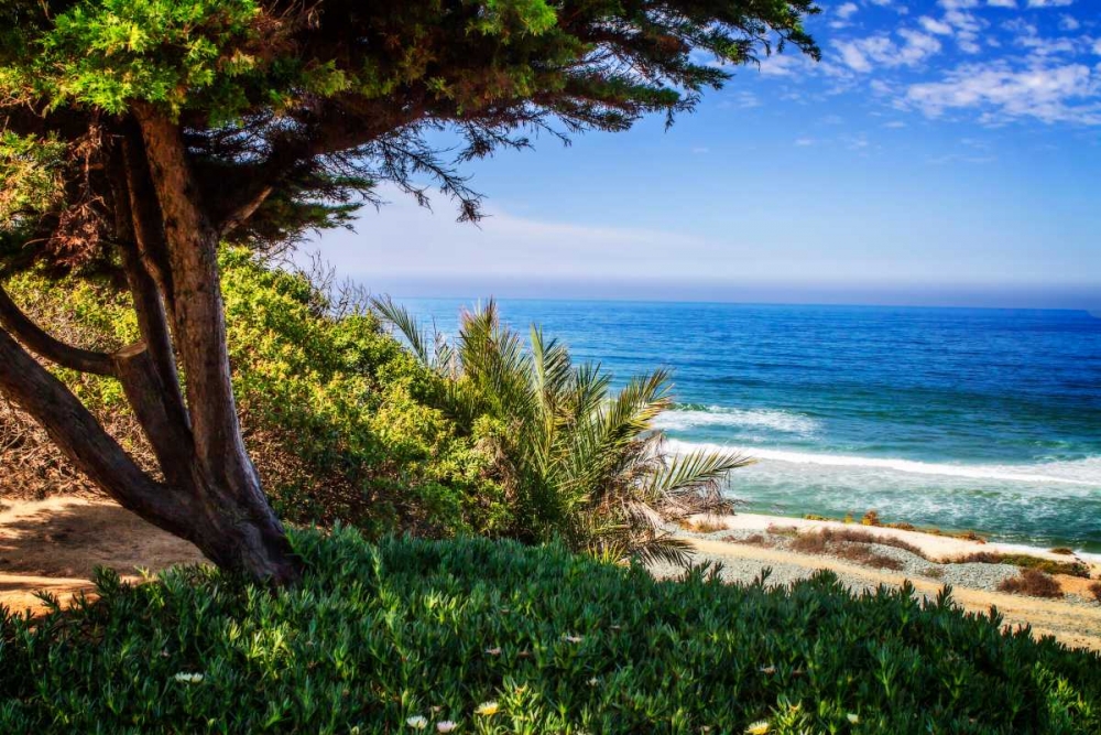 Del Mar Beach I art print by Alan Hausenflock for $57.95 CAD