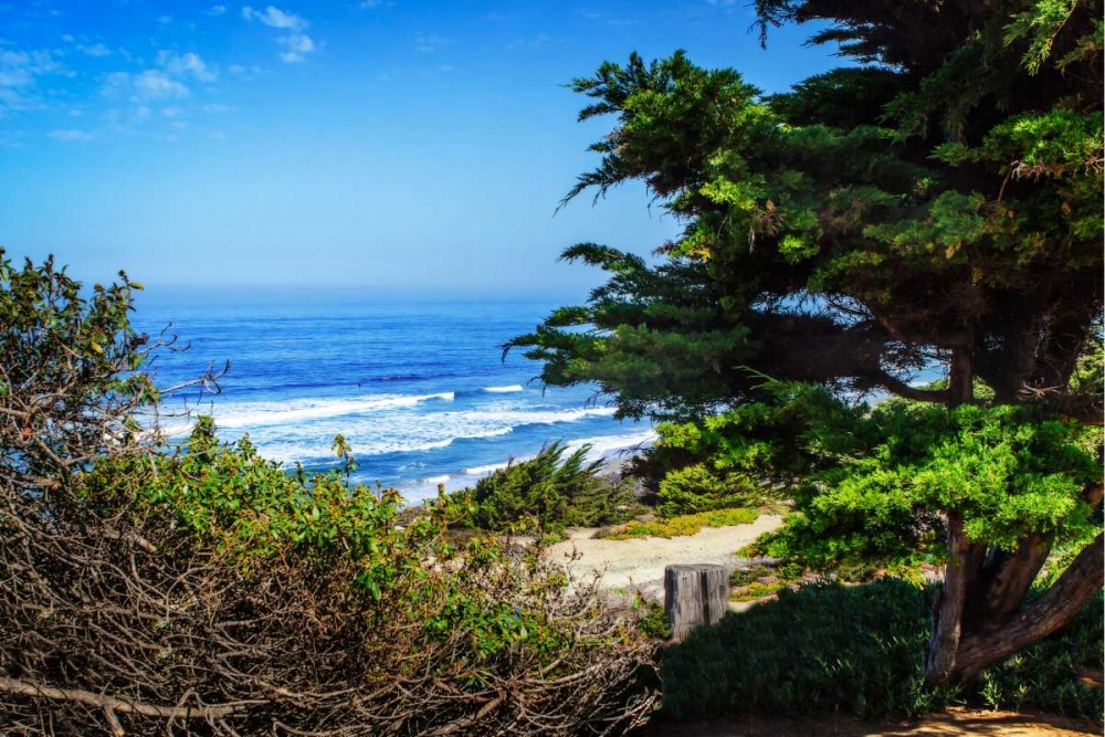 Del Mar Beach II art print by Alan Hausenflock for $57.95 CAD