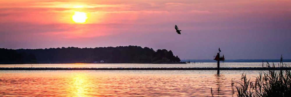 Potomac Sunset II art print by Alan Hausenflock for $57.95 CAD