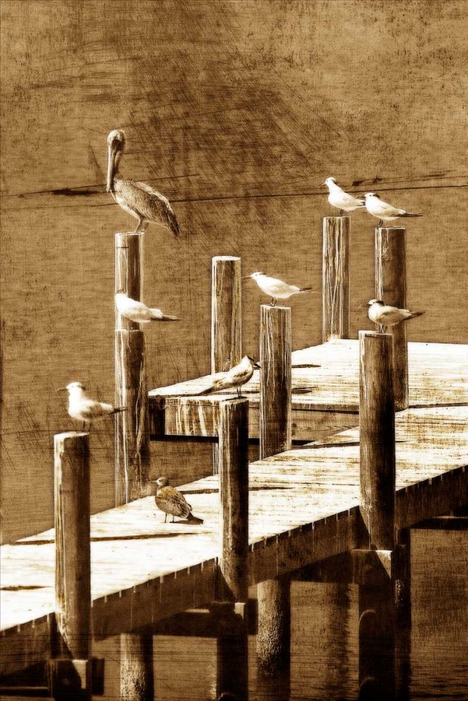 Sea Birds I art print by Alan Hausenflock for $57.95 CAD