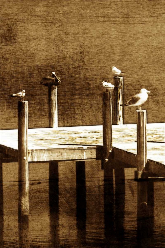 Sea Birds II art print by Alan Hausenflock for $57.95 CAD