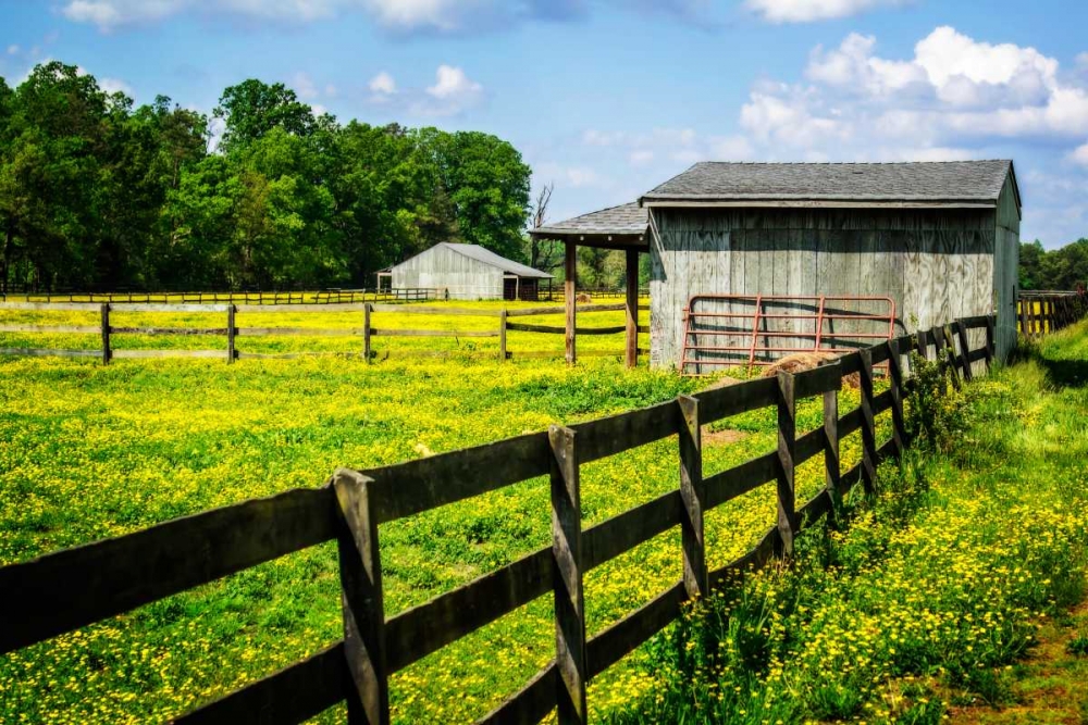 Spring Pasture II art print by Alan Hausenflock for $57.95 CAD