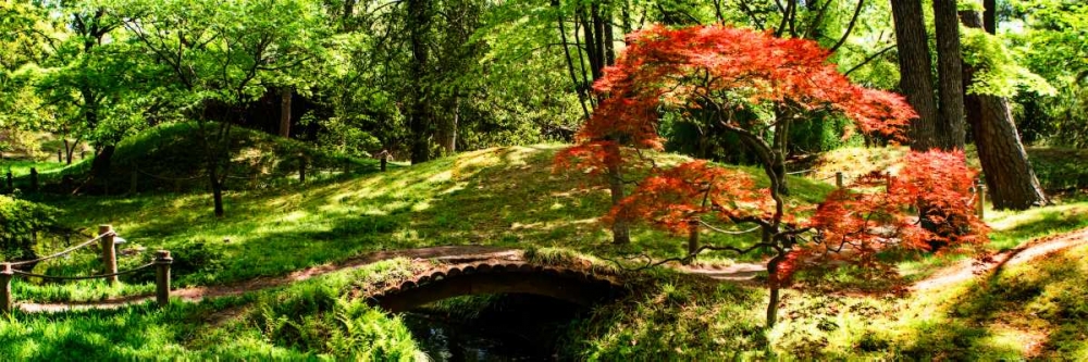 Japanese Garden II art print by Alan Hausenflock for $57.95 CAD