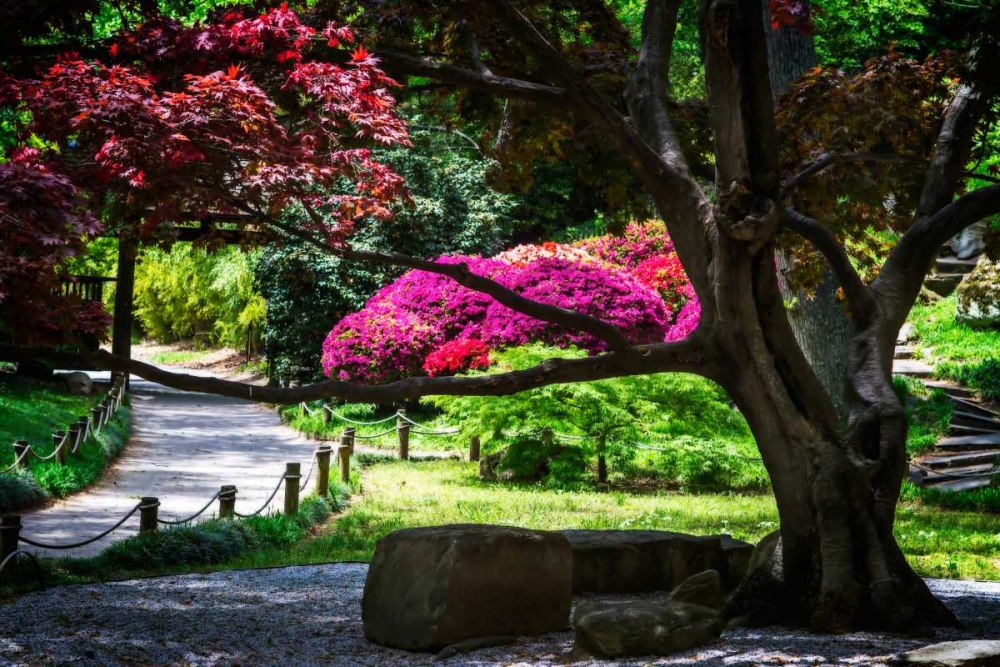 Japanese Garden III art print by Alan Hausenflock for $57.95 CAD
