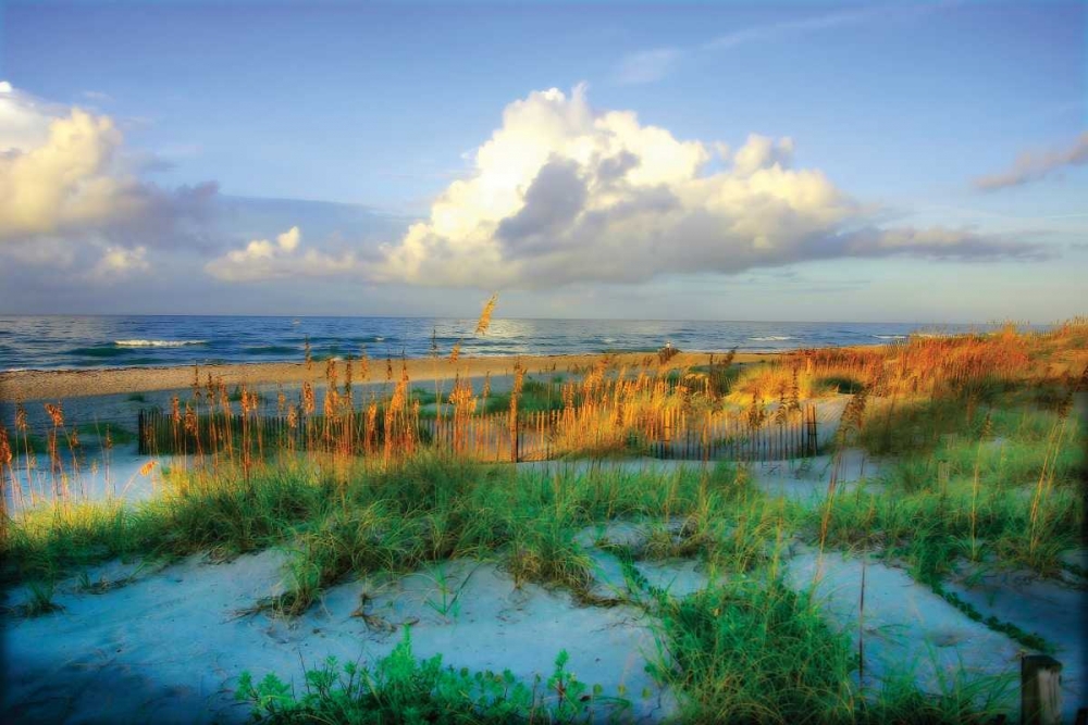 Dunes I art print by Alan Hausenflock for $57.95 CAD