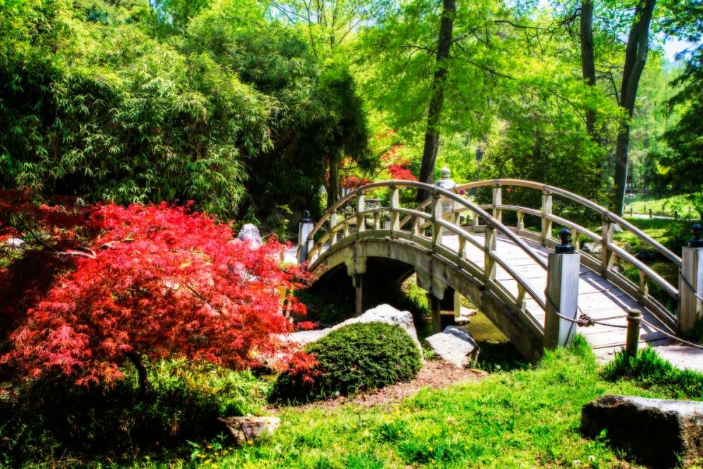 Japanese Garden IV art print by Alan Hausenflock for $57.95 CAD